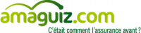Logo_amaguiz